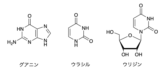 解説画像